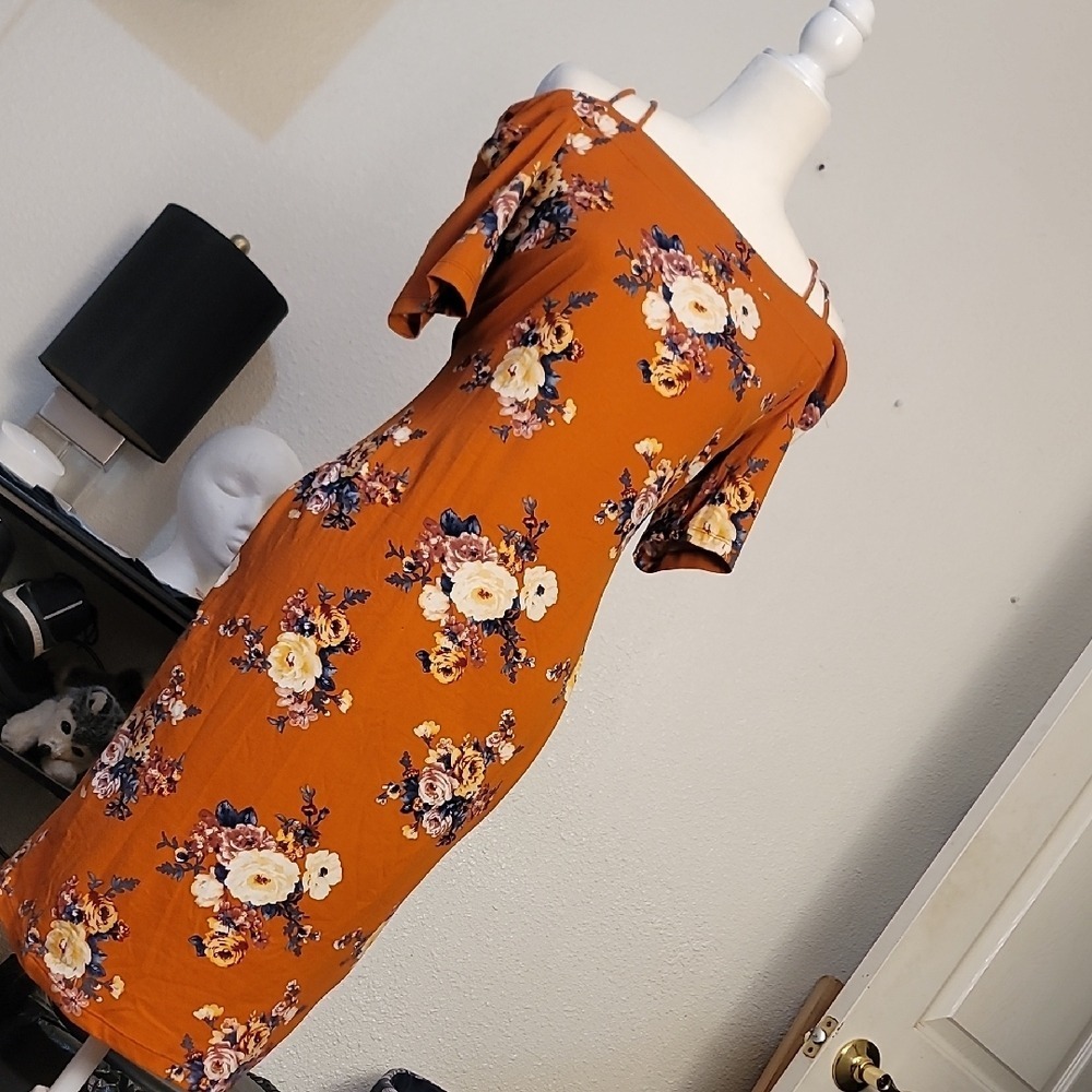 Haute Monde Rust and Cream Floral Dress